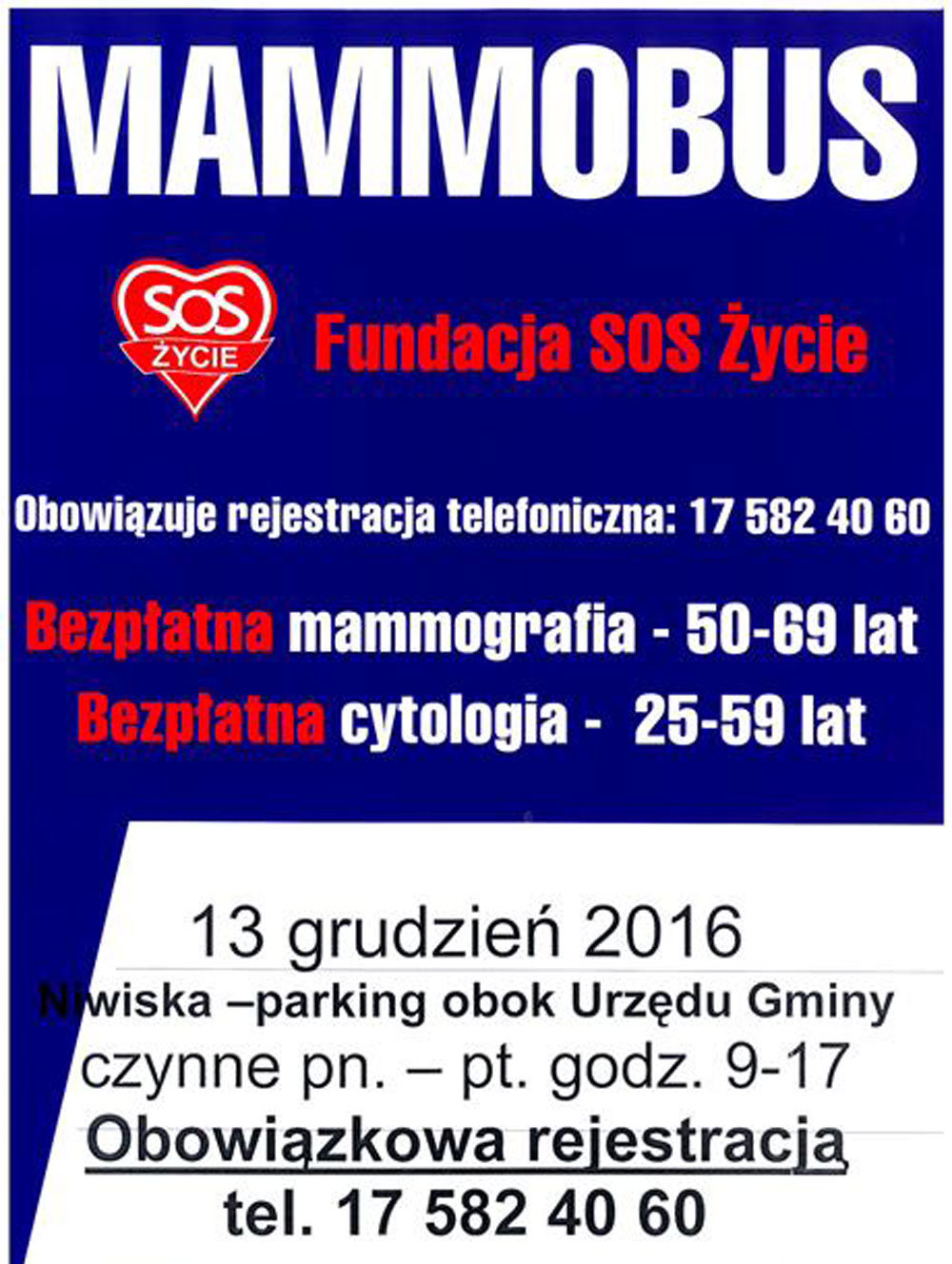 Mammobus pod urzędem - Zdjęcie główne