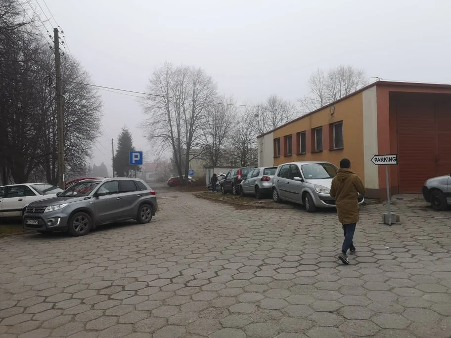 Wycięto już wszystkie drzewa. Przy szpitalu w Kolbuszowej powstaje parking [WIDEO - ZDJĘCIA] - Zdjęcie główne