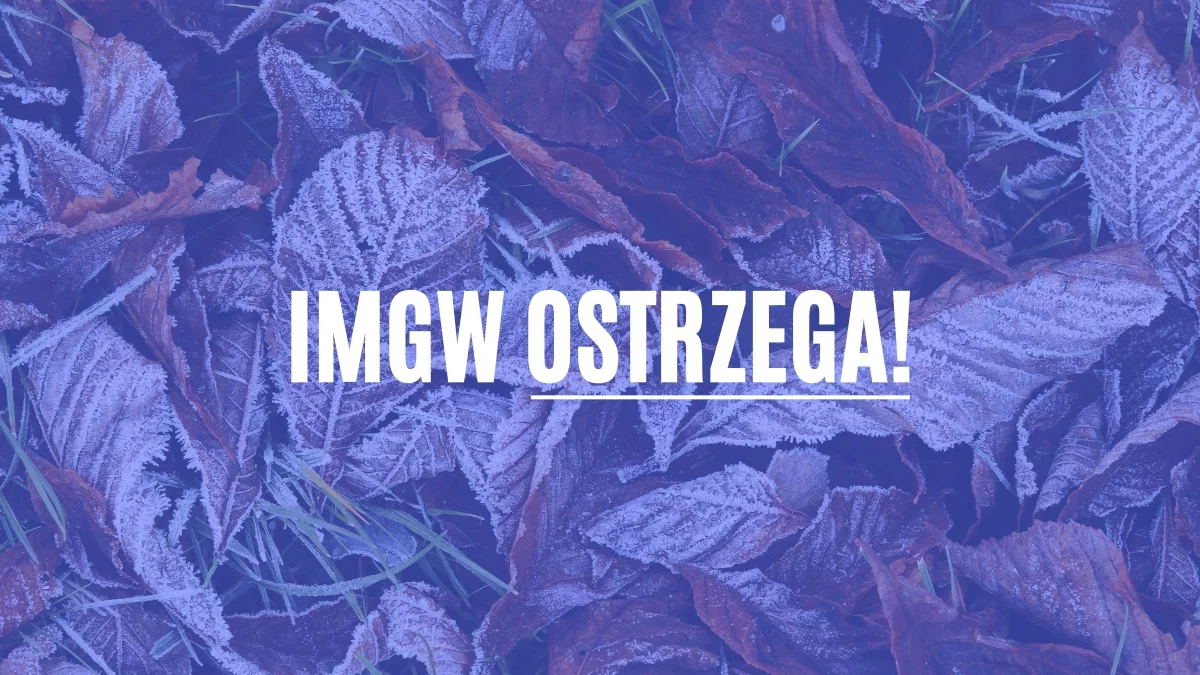 IMGW ostrzega przed tym zjawiskiem. Dotyczy niemal połowy Polski. Tu występuje - Zdjęcie główne