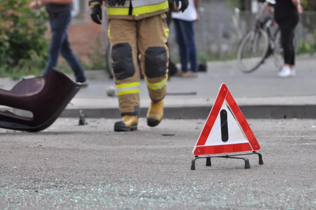 Coraz więcej kolizji z udziałem zwierząt na terenie powiatu kolbuszowskiego. Policja apeluje o ostrożność - Zdjęcie główne