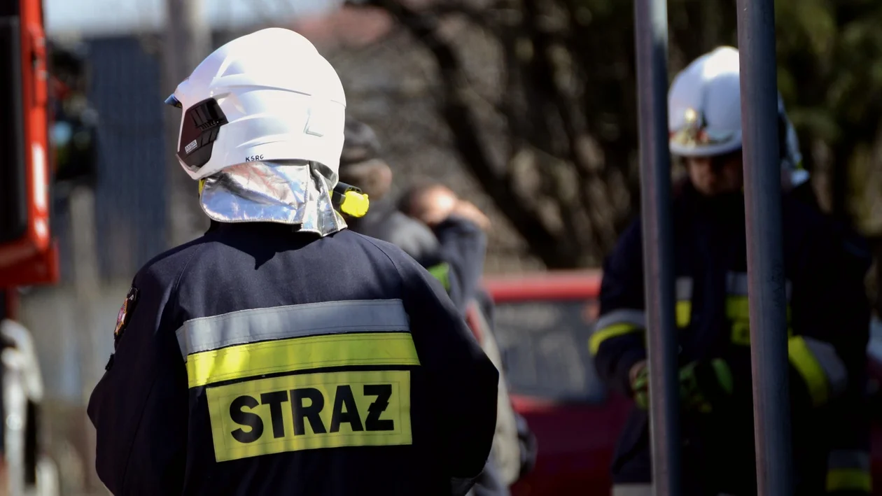 Pożar 4 ciężarówek na ul. Strefowej w Głogowie Małopolskim. Ogień gasiło 30 strażaków. Straty są ogromne - Zdjęcie główne