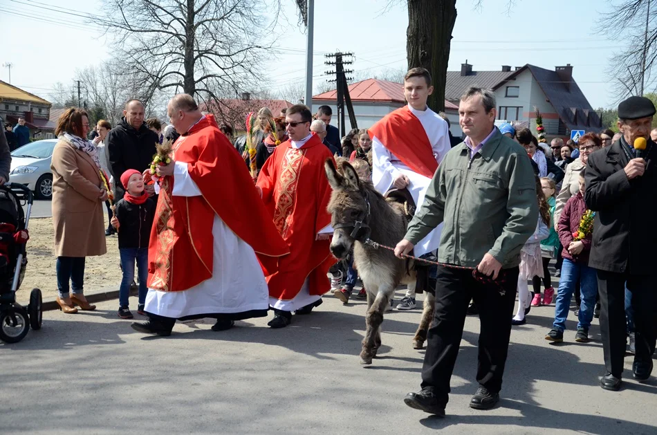 Przemarsz ulicami Raniżowa z żywym osiołkiem. Obchody Niedzieli Palmowej [ZDJĘCIA] - Zdjęcie główne