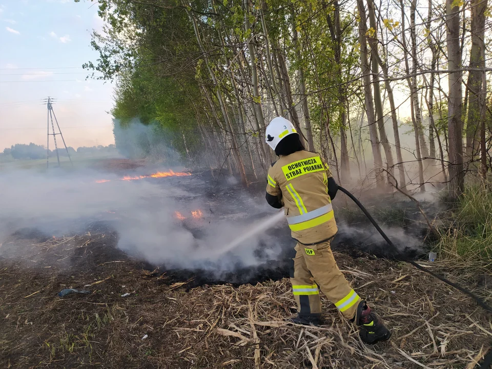 Podpalał lasy i trawy w Kolbuszowej Górnej. Jest już w rękach kolbuszowskiej policji - Zdjęcie główne