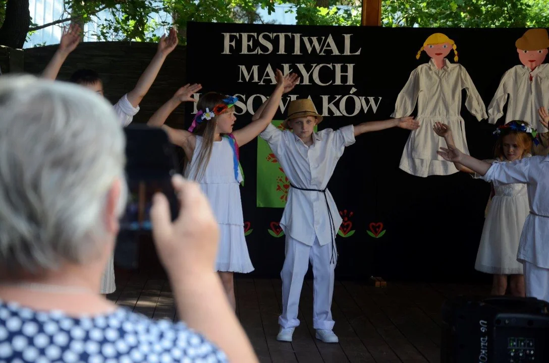 Festiwal Małych Lasowiaków w Mechowcu. Mieszkańcy licznie przybyli obejrzeć występy [ZDJĘCIA] - Zdjęcie główne