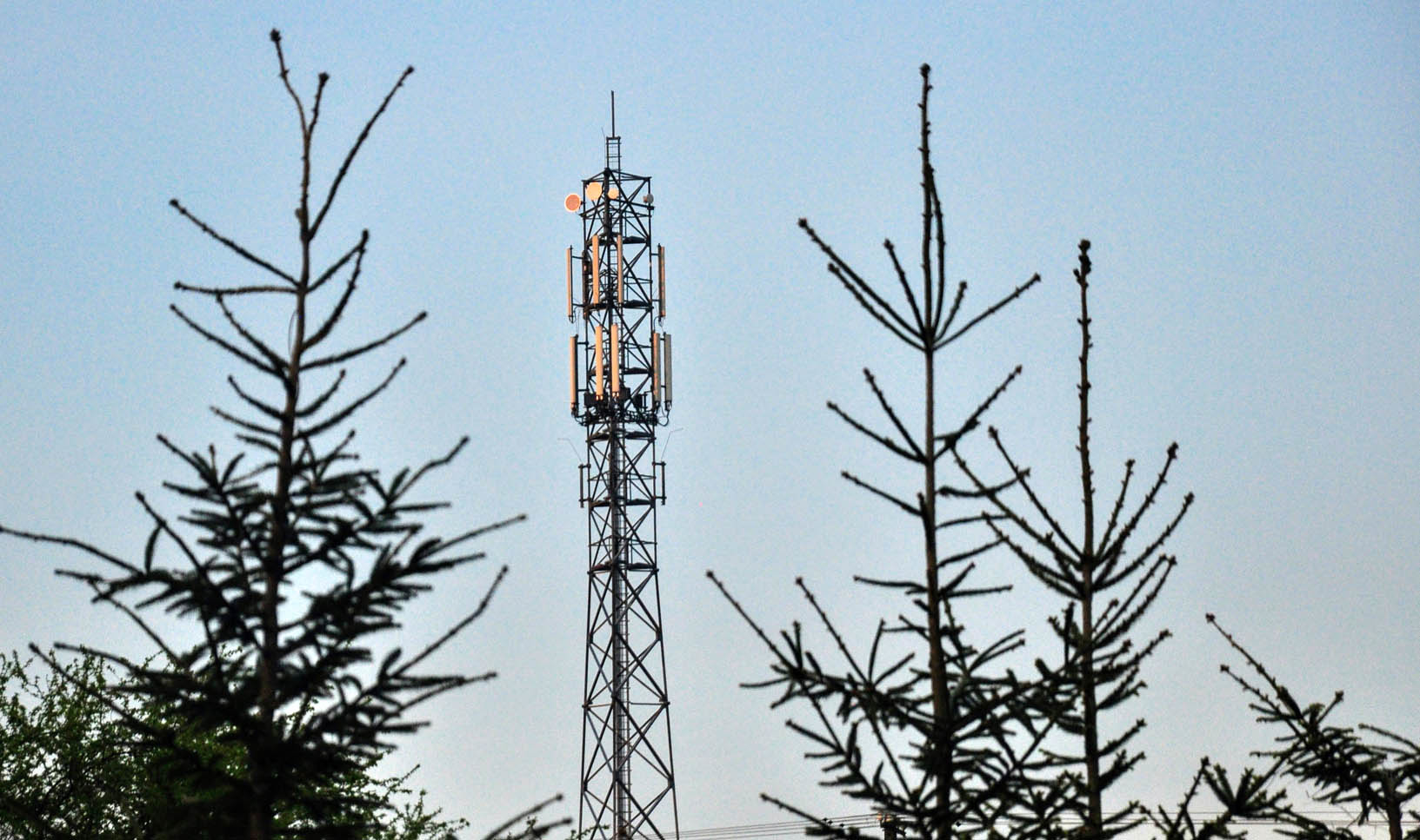 Jest zgoda na budowę kolejnego masztu telefonii na terenie gminy Kolbuszowa - Zdjęcie główne