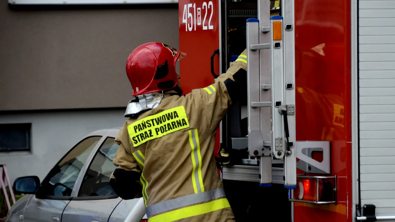 Interwencja strażaków w Woli Raniżowskiej. Zapaliła się lodówka - Zdjęcie główne