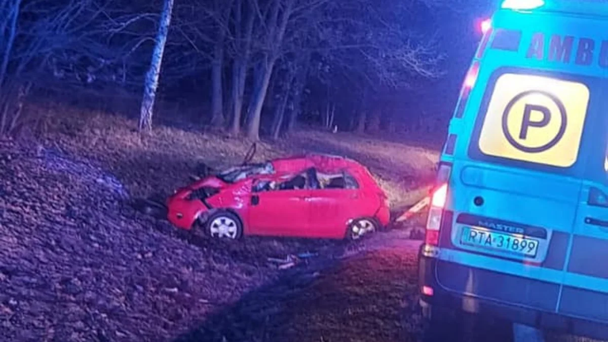 Dachowanie samochodu na DK9 w Nowej Dębie. Za kierownicą siedział pijany mieszkaniec powiatu kolbuszowskiego [ZDJĘCIA] - Zdjęcie główne