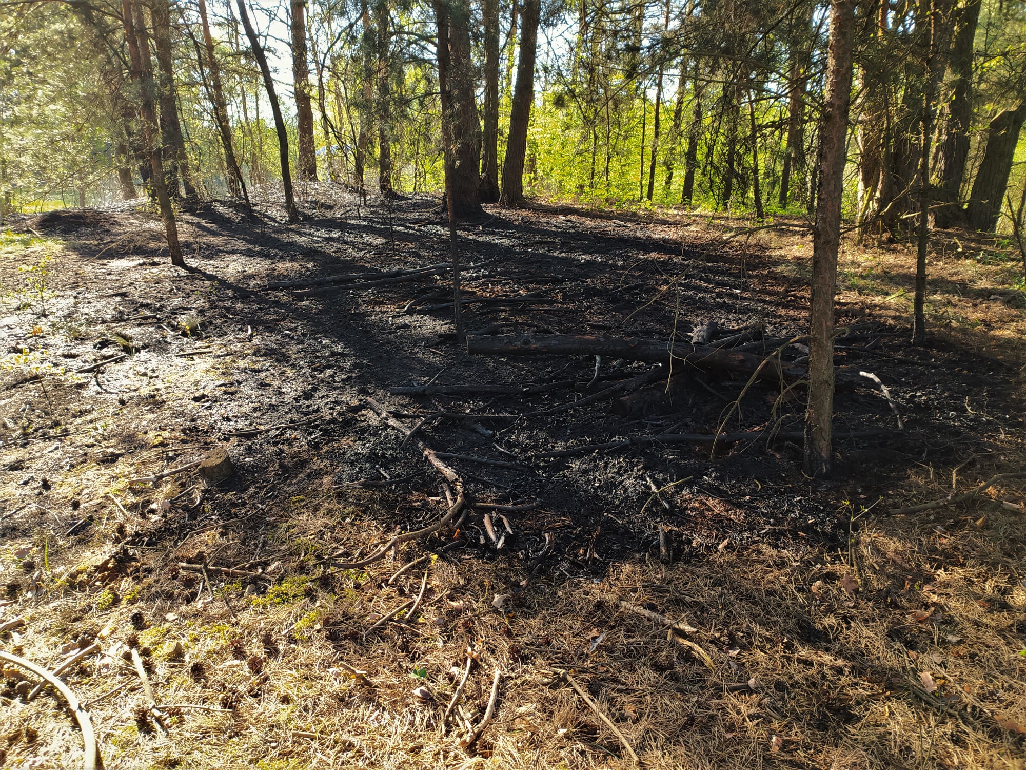 W działaniach brali udział m.in. druhowie z OSP Kupno.