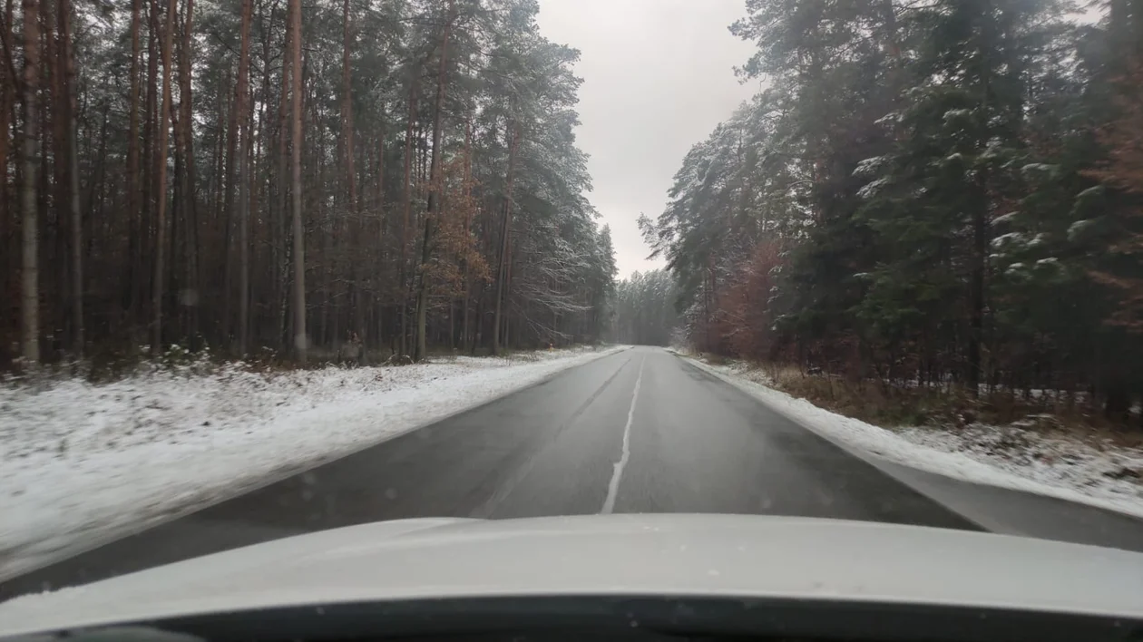 Pogoda Kolbuszowa. Ostrzeżenie dla powiatu kolbuszowskiego  - Zdjęcie główne