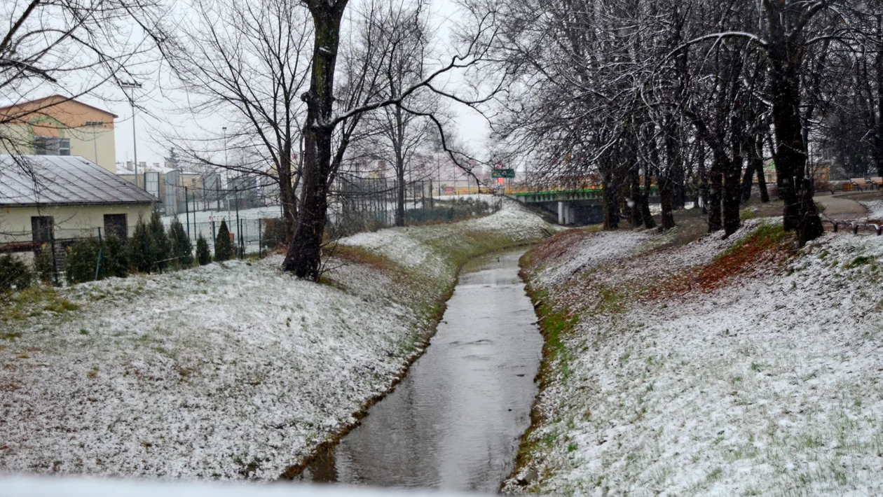 Pierwszy śnieg w Kolbuszowej