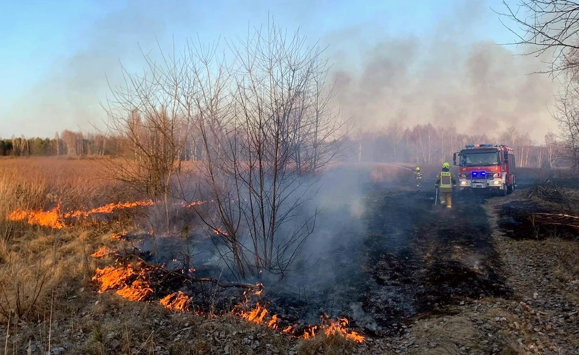 Pracowity weekend kolbuszowskich strażaków. Interweniowali 18 razy na terenie powiatu [ZDJĘCIA] - Zdjęcie główne