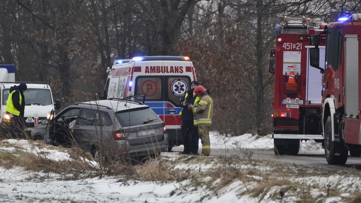 Wypadek na ul. Sędziszowskiej w Kolbuszowej Górnej. Auto wylądowało w rowie [ZDJĘCIA] - Zdjęcie główne