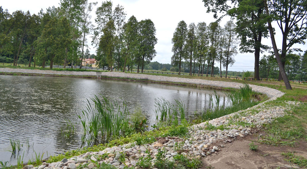 Ogródków nie podlewać, basenów nie napełniać - Zdjęcie główne