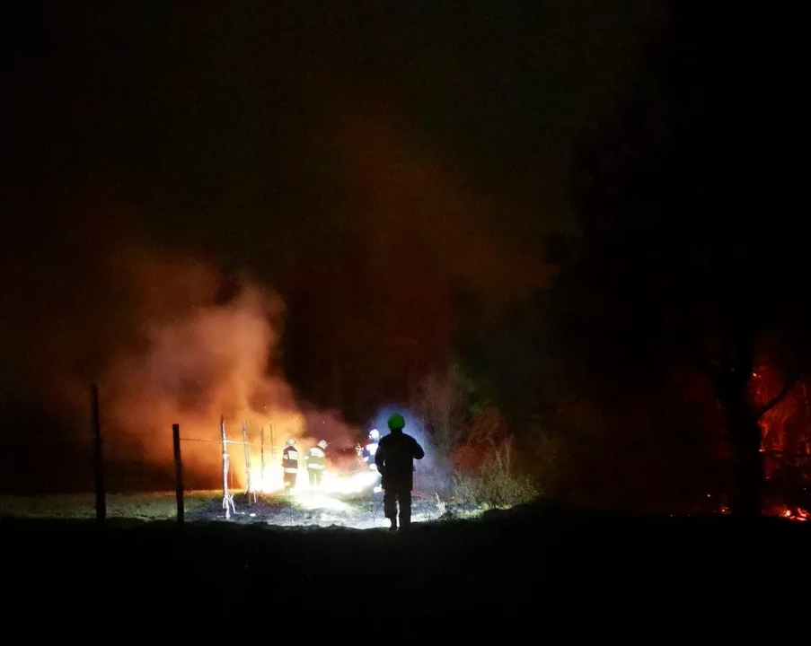 Pożar nieużytków w Świerczowie. Trzy jednostki gasiło ogień - Zdjęcie główne