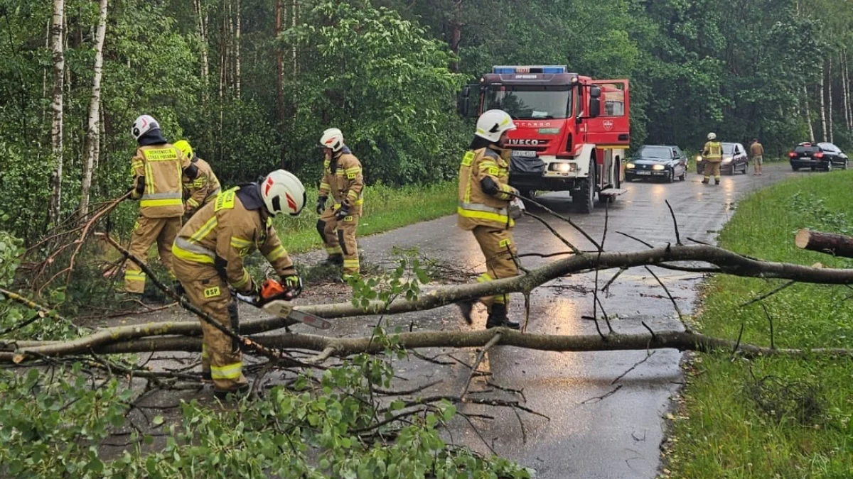 Kolejny intensywny dzień dla kolbuszowskich strażaków. Zerwane linie i powalone drzewa w powiecie - Zdjęcie główne