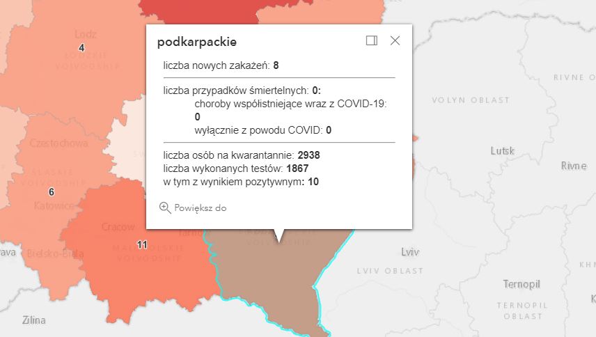 Nowe zakażenia w województwie podkarpackim [niedziela - 25 lipca] - Zdjęcie główne