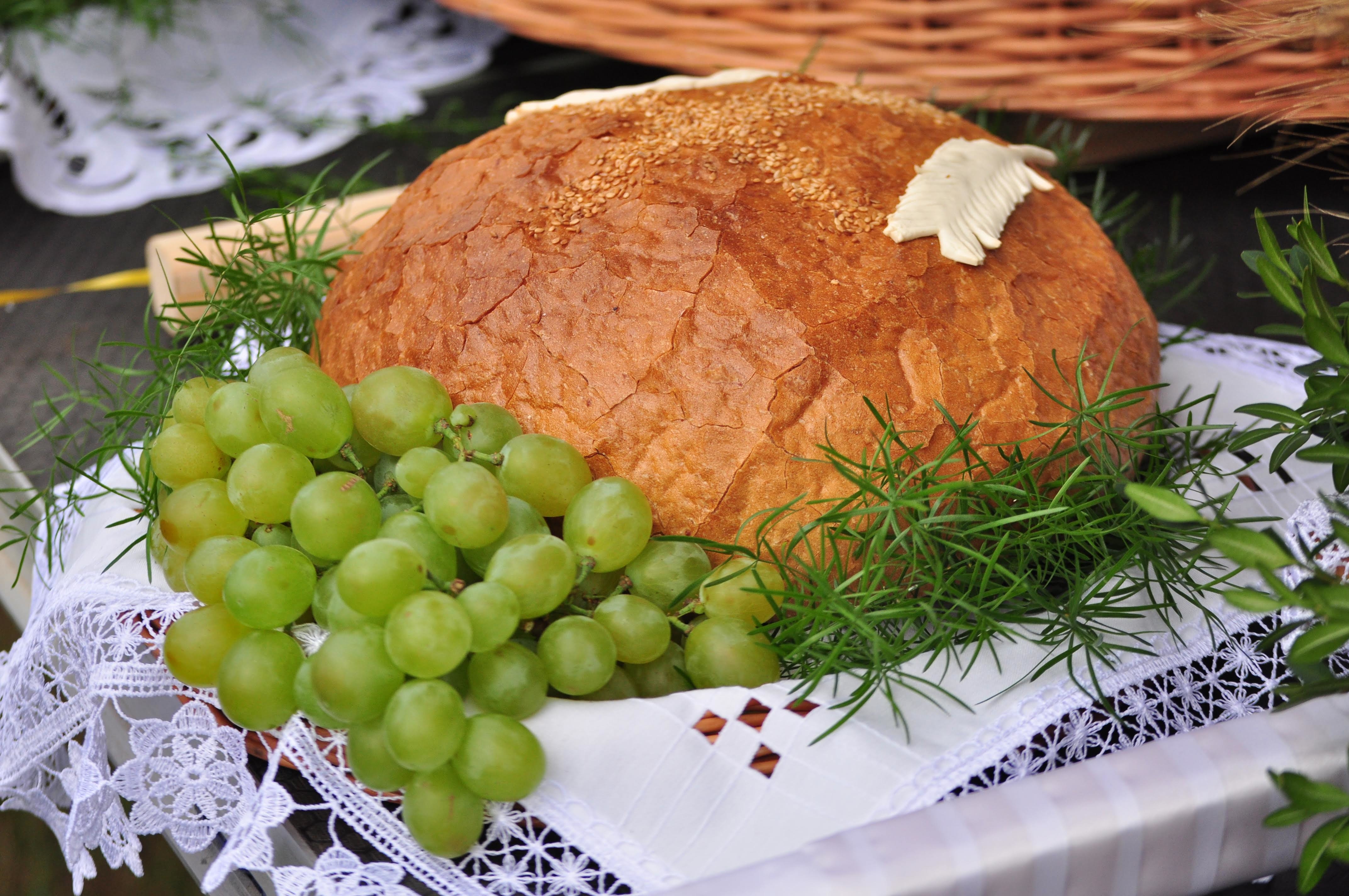 Królewskie dożynki. Co w planie w tym roku? - Zdjęcie główne