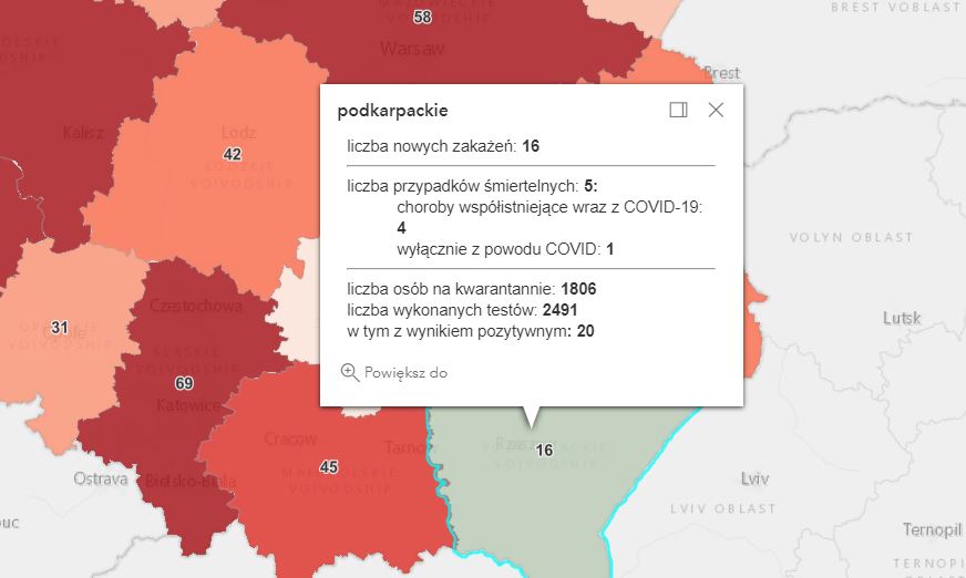 Zakażenia koronawirusem na Podkarpaciu [czwartek - 3 czerwca] - Zdjęcie główne