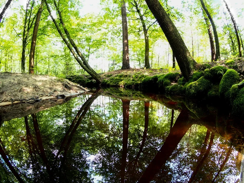 Rzeka Smarkata płynie na pograniczu gmin Cmolas i Majdan Królewski.