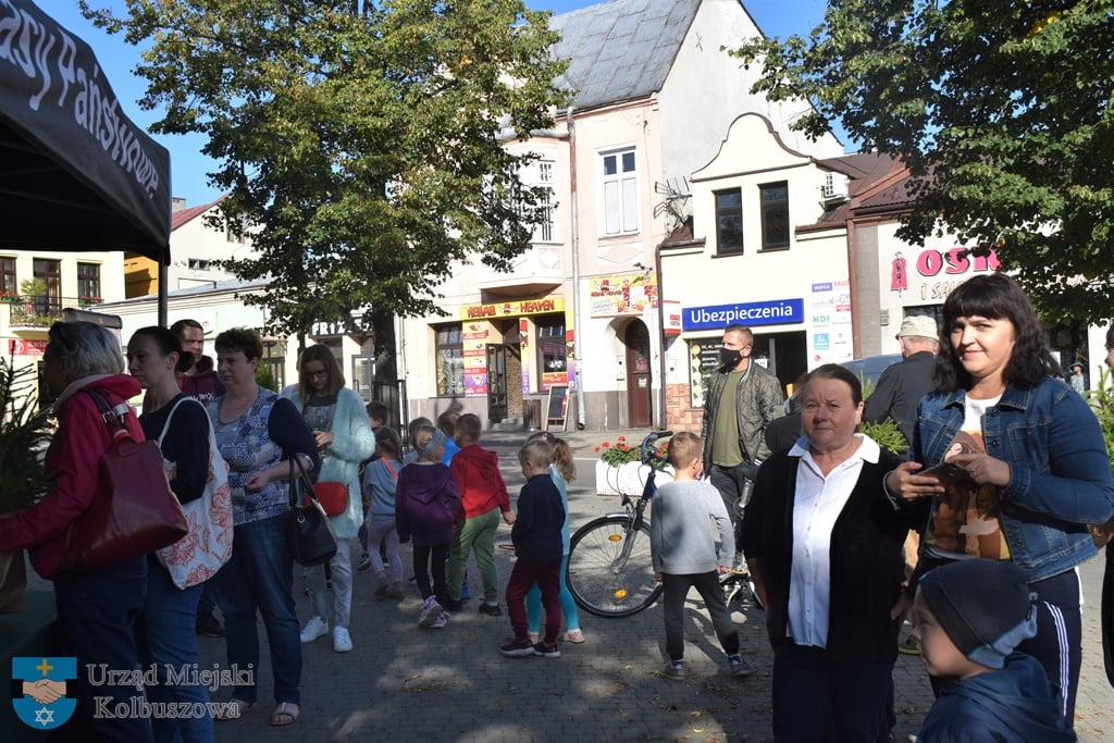 4 tysiące sadzonek świerka za darmo!  - Zdjęcie główne