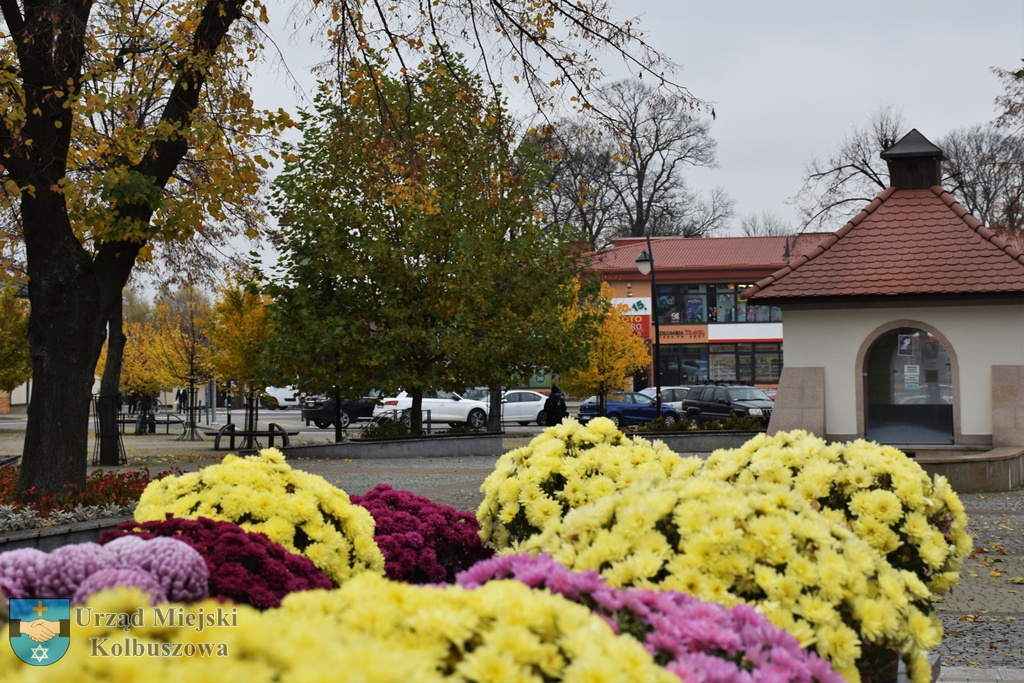 Gmina Kolbuszowa pomogła lokalnym przedsiębiorcom  - Zdjęcie główne