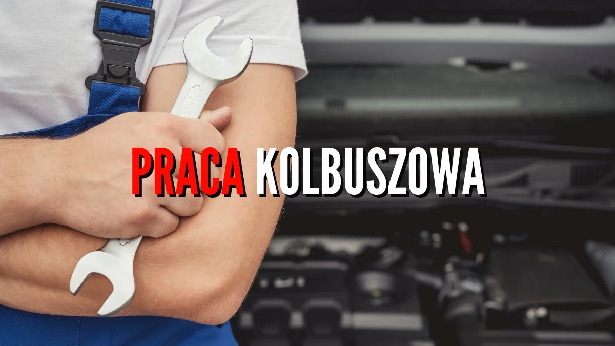 Praca w Kolbuszowej i okolicach od zaraz. Poszukiwani nauczyciele, mechanicy, kasjerzy, ogrodnicy. Ile można zarobić? - Zdjęcie główne