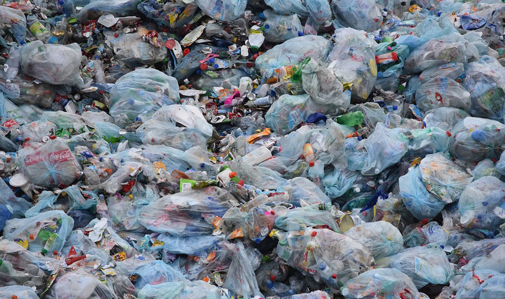 Wysypisko śmieci na terenie powiatu kolbuszowskiego - czyja to propozycja?  - Zdjęcie główne