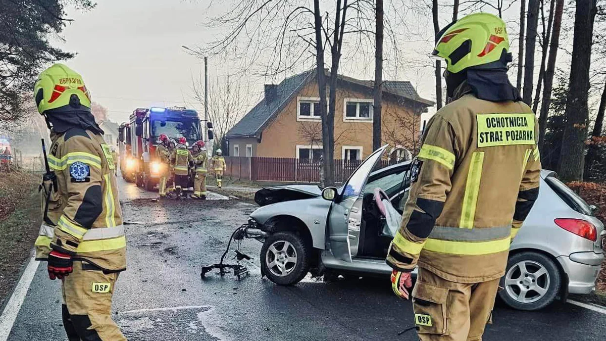 Wypadek nieopodal Kolbuszowej. Auto uderzyło w drzewo [ZDJĘCIA] - Zdjęcie główne