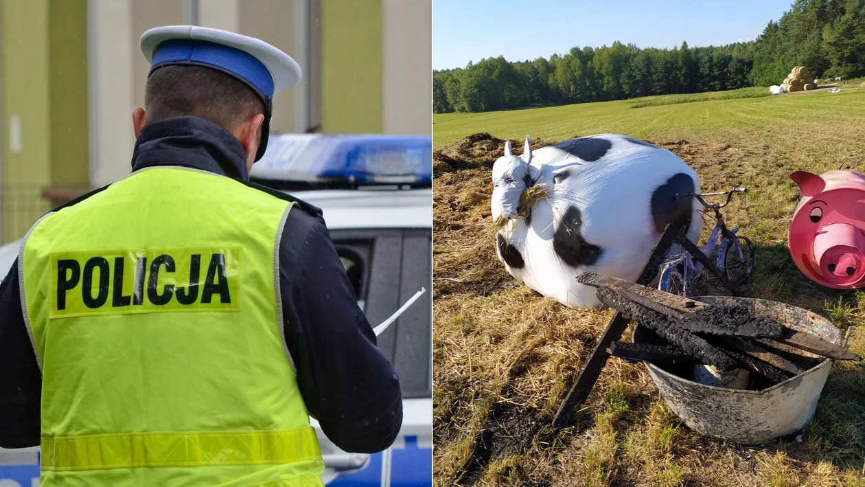 Kolbuszowska policja o podpaleniach dekoracji dożynkowych na terenie gminy Niwiska - Zdjęcie główne