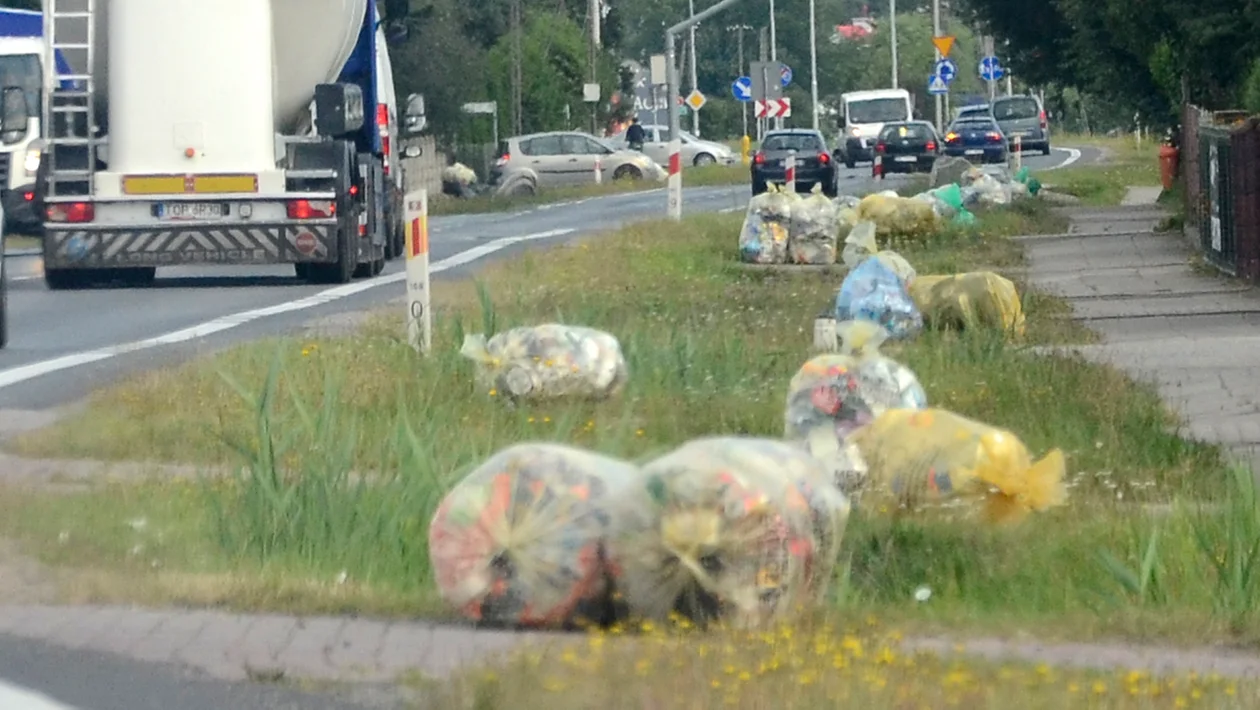 Harmonogram odbioru śmieci w gminie Kolbuszowa na 2022. Jest ważna zmiana - Zdjęcie główne