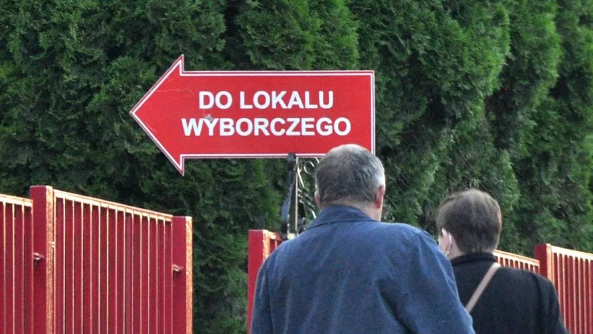 PiS zwyciężył w wyborach w Kolbuszowej i okolicach. Znaczna część popiera jednak Konfederację - Zdjęcie główne