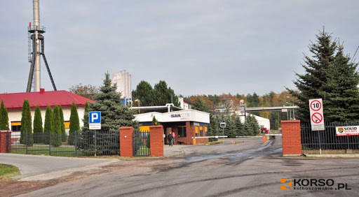 Z REGIONU: Mieszkańcy wciąż skarżą się na zakład Saria z Przewrotnego. Mamy stanowisko firmy  - Zdjęcie główne