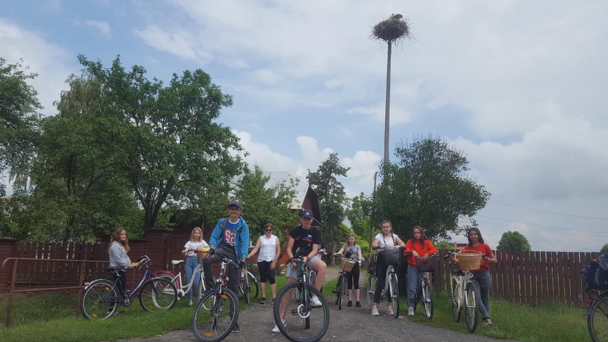 Za kilka tygodni odlecą. Zobacz dorastające bociany z naszego powiatu!  - Zdjęcie główne