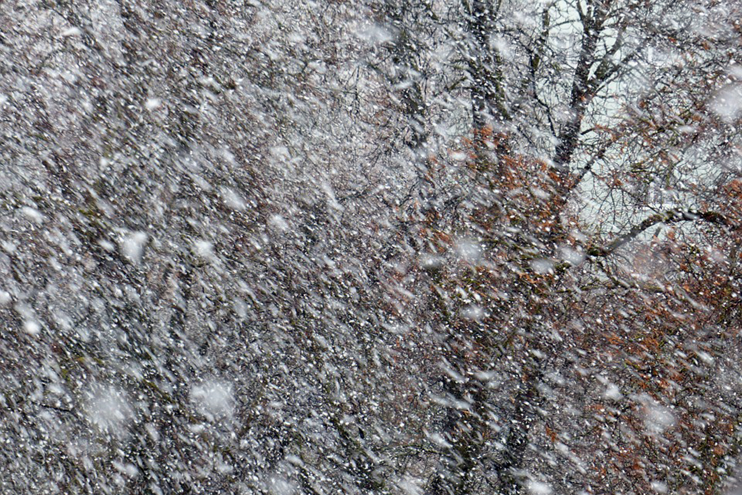 OSTRZEŻENIE METEOROLOGICZNE: zawieje i zamiecie śnieżne do jutra - Zdjęcie główne