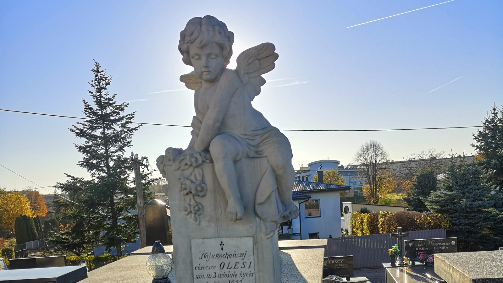 Najpiękniejsze nagrobki na cmentarzu w Kolbuszowej [ZDJĘCIA] - Zdjęcie główne