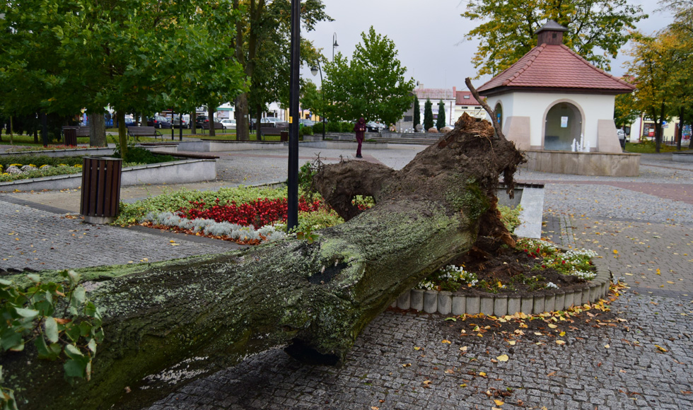 GMINA KOLBUSZOWA. Burmistrz apeluje do mieszkańców  - Zdjęcie główne