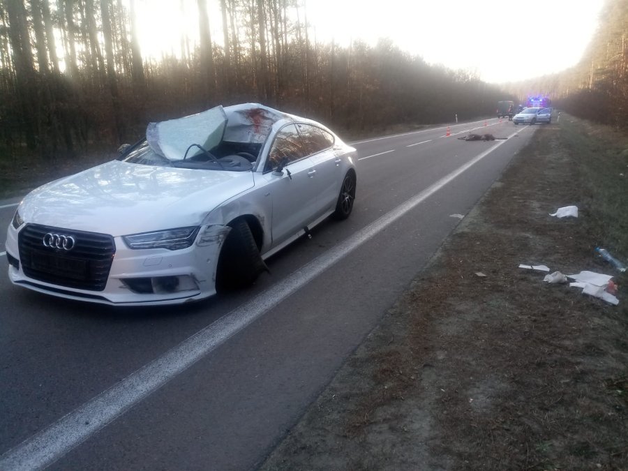 Niebezpieczny wypadek w Przyłęku. Pięć osób trafiło do szpitala po zderzeniu z łanią - Zdjęcie główne