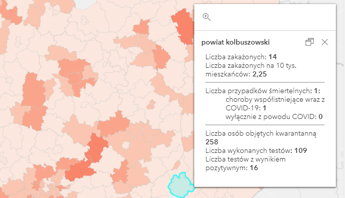 Raport Covid-19 w powiecie kolbuszowskim [wtorek - 20 kwietnia] - Zdjęcie główne