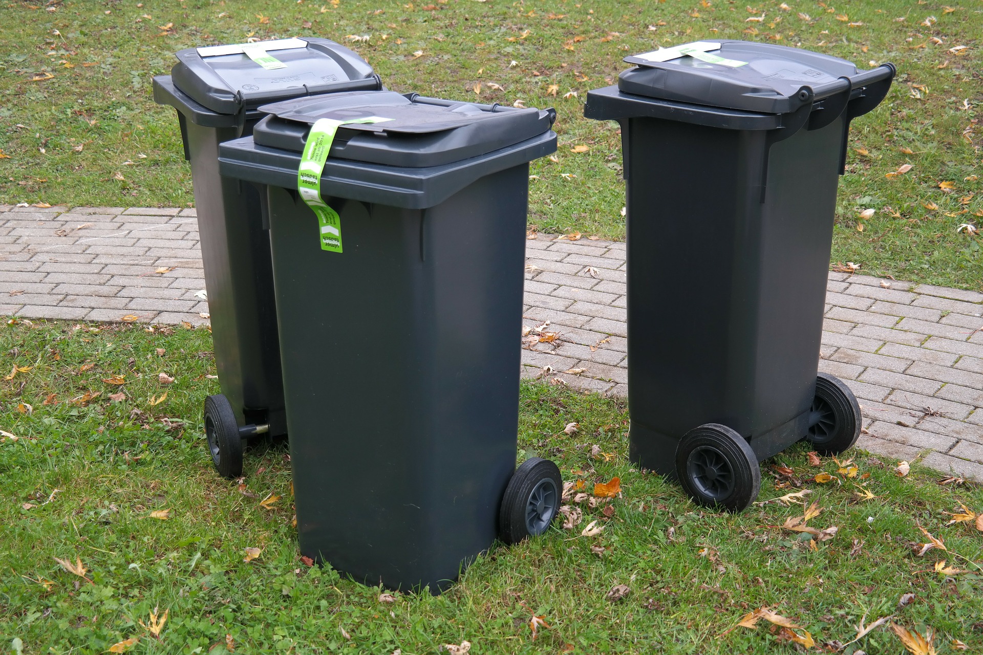Jest zgoda radnych miejskich na podwyżkę opłat za odbiór śmieci od mieszkańców gminy Kolbuszowa - Zdjęcie główne