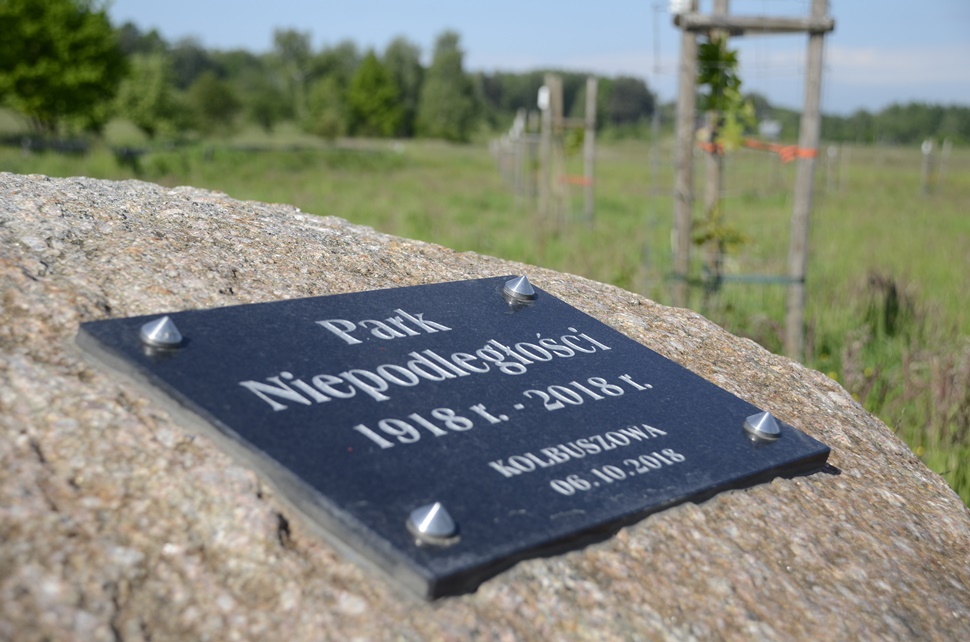 Wkrótce Park Niepodległości w Kolbuszowej nabierze kształtów [ZDJĘCIA] - Zdjęcie główne