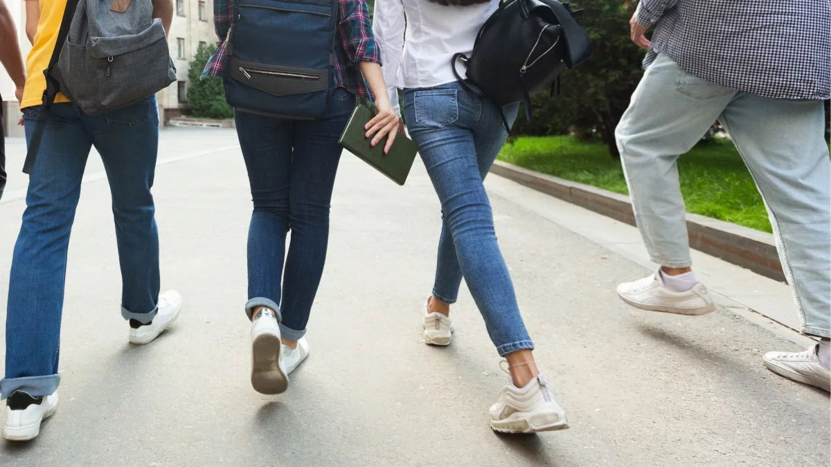 Tylu uczniów uczy się w LO w Kolbuszowej ZST w Kolbuszowej i ZSA-E w Weryni - Zdjęcie główne