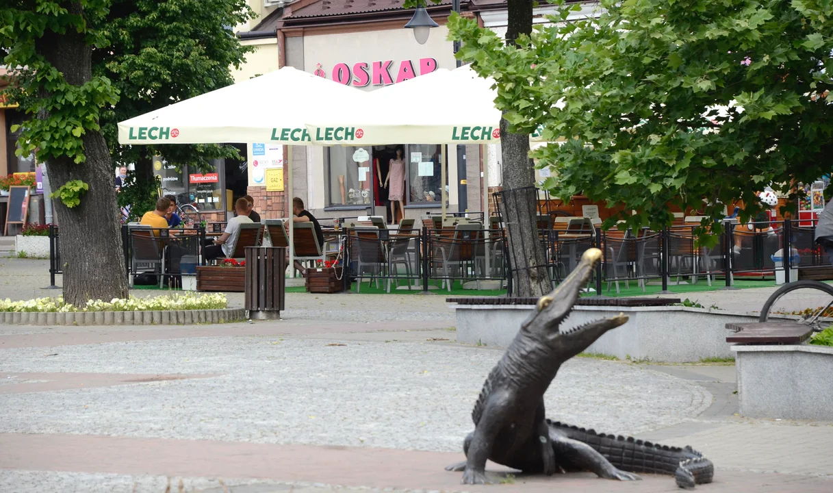 Ogródki piwne wracają na rynek w Kolbuszowej. Gmina czeka na chętnych - Zdjęcie główne