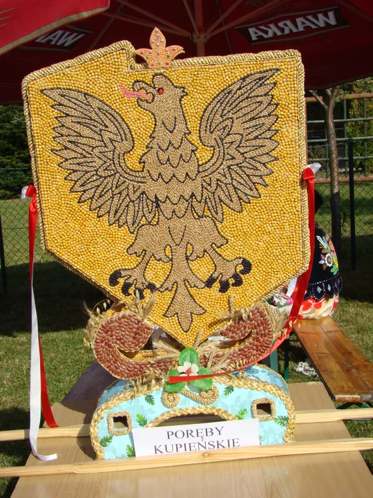 Dożynki gminie ostatni raz w Zarębkach były organizowane w 2007 roku. Zgodnie z harmonogramem kolejny raz sołectwo miało zaprosić wieńce dożynkowe z gminy Kolbuszowa w tym roku. Pojawił się jednak inny pomysł.