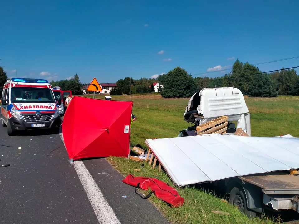 Śmiertelny wypadek między Cmolasem a Hadykówką. Droga krajowa nr 9 na trasie Tarnobrzeg - Rzeszów była zablokowana 10 godzin [ZDJĘCIA] - Zdjęcie główne