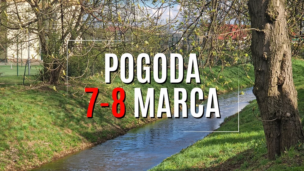 Ciepły początek marca na Podkarpaciu. Prognoza pogody na piątek i sobotę (7-8 marca) - Zdjęcie główne