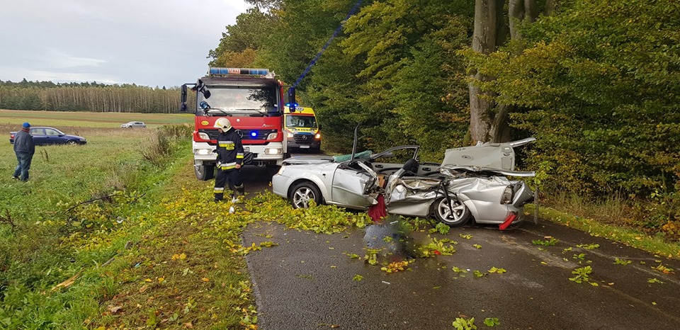 Z PODKARPACIA. Tragedia po wichurze. Drzewo zabiło jedną osobę - Zdjęcie główne