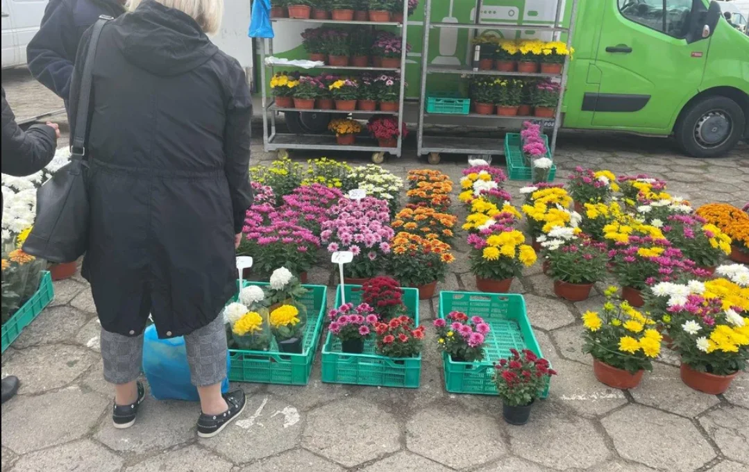 Tyle gmina Kolbuszowa zapłaci za utrzymanie porządku na placu targowym przy ul. Zielonej - Zdjęcie główne