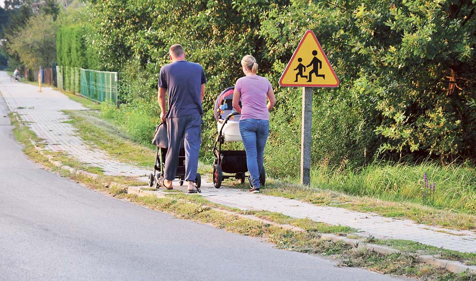 Mechowiec zarasta - Zdjęcie główne