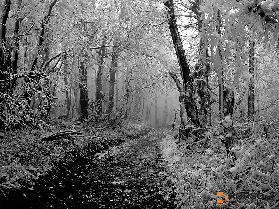 Bieszczady jak z obrazu [FOTO+VIDEO] - Zdjęcie główne