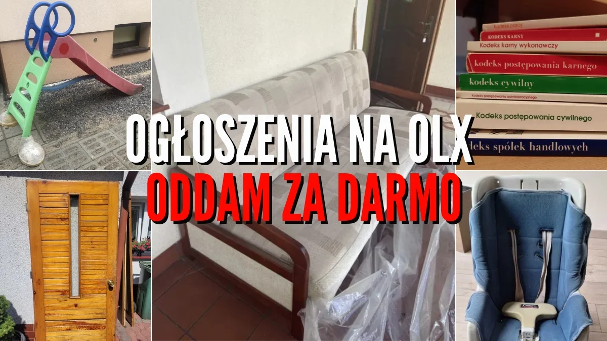 Oddam za darmo na OLX z Kolbuszowej i Głogowa Małopolskiego. Sprawdź najnowsze ogłoszenia [ZDJĘCIA] - Zdjęcie główne